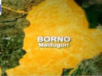 Teen suspect arrested in Borno