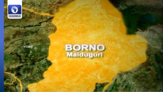 Teen suspect arrested in Borno