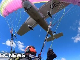 Paraglider hits plane mid-air