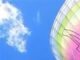 Paraglider hits plane mid-air