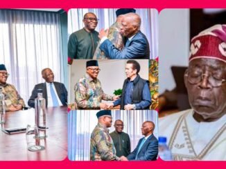 Obi meets Mbeki in strategy talk