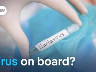 WHO confirms hantavirus outbreak on stranded ship