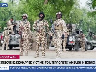 Nigerian troops rescue 92 Borno hostages