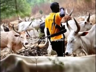 Herder kills farmer over farm dispute
