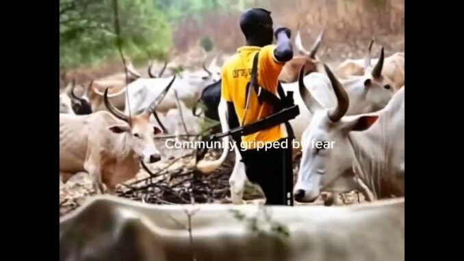 Herder kills farmer over farm dispute
