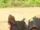 FCTA Flags Use of Beggars in Drug Delivery