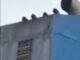 Drone attack strikes cargo ship in Black Sea