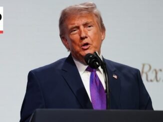 Trump holds off on Iran strike