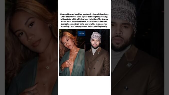Diamond Brown ights Chris Brown for full custody of daughter