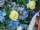 Police storm Tyson Fury daughter's wedding