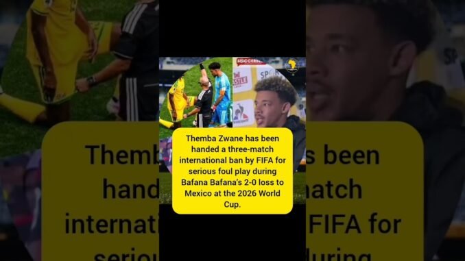 FIFA upholds Themba Zwane's suspension