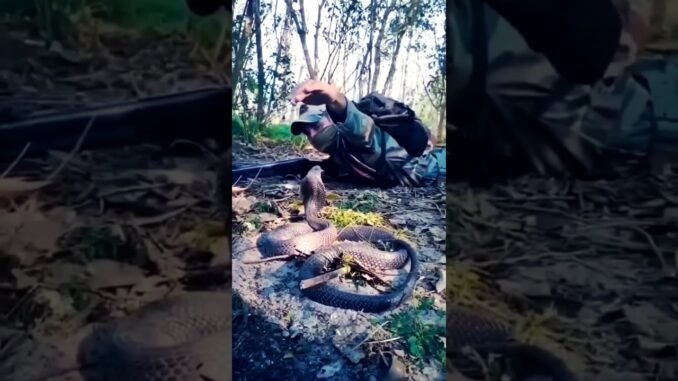 Officer battles massive snake in viral video