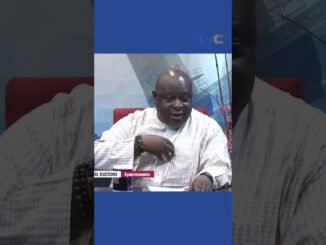 Atiku Slams Tinubu Over Abduction of Ex-Power Minister's