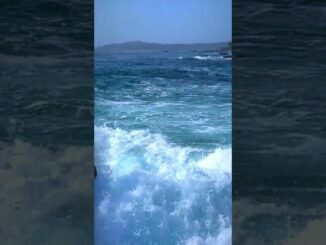 Two Friends Dead After Ocean Waves Strike
