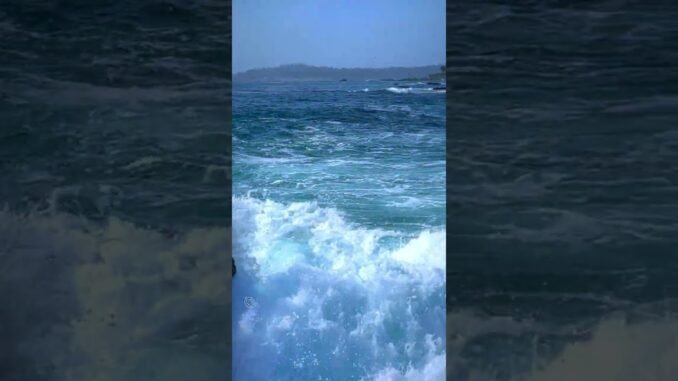 Two Friends Dead After Ocean Waves Strike