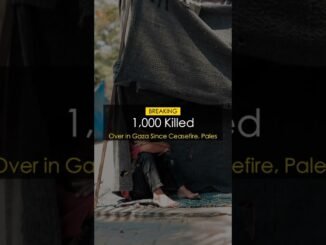 Over 1,000 dead despite Gaza ceasefire
