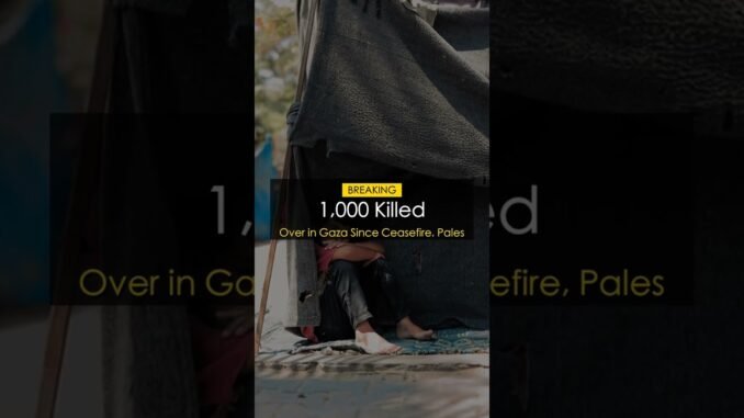 Over 1,000 dead despite Gaza ceasefire