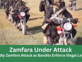 Nine farmers killed by bandits in Zamfara attack