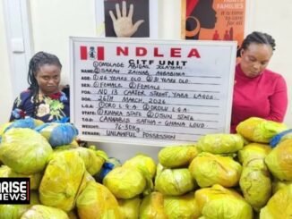 NDLEA cracks down on trafficking syndicates