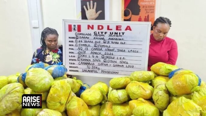 NDLEA cracks down on trafficking syndicates