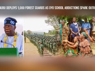 President Tinubu approves 1,000 Oyo forest guards