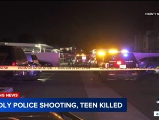 Teen Shot Dead by Police After Attacking Mother