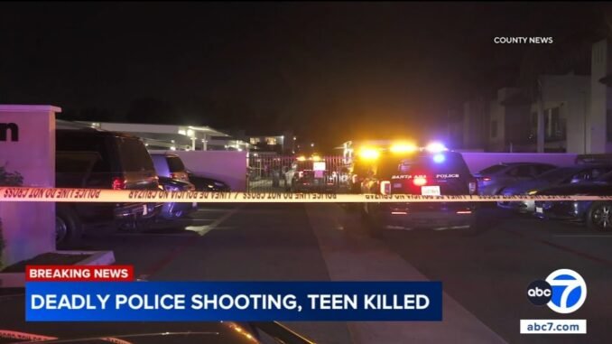 Teen Shot Dead by Police After Attacking Mother