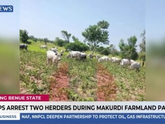 Herder detained over farmer assault