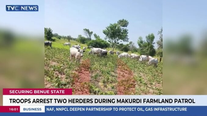 Herder detained over farmer assault