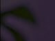 Spyro speaks on selfish culture