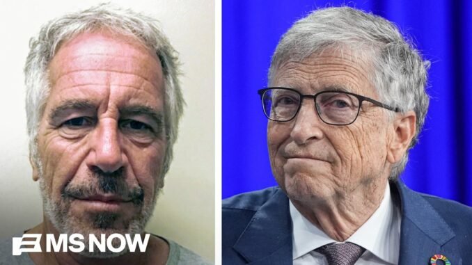 Bill Gates Congress Epstein testimony