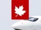 Fake pilot license investigation