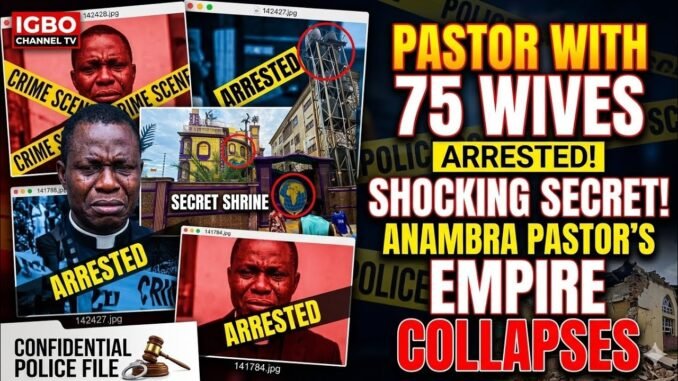 Anambra govt arrests pastor, saves babies