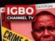 Anambra govt arrests pastor, saves babies