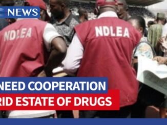 NDLEA urges drug addiction help