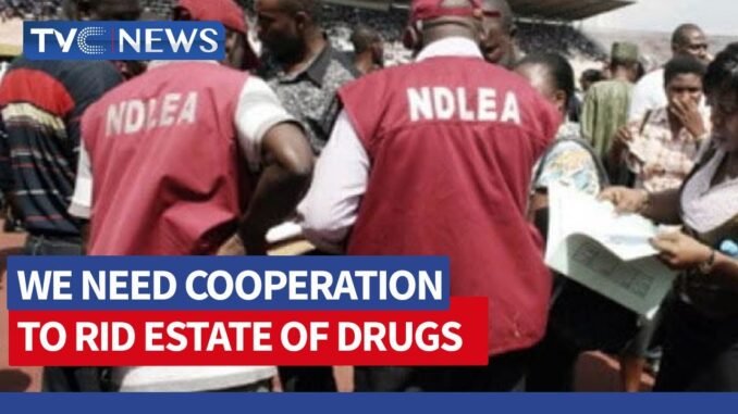 NDLEA urges drug addiction help