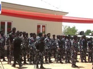 Woman arrested in Yobe case