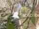 Military blocks ISWAP assault