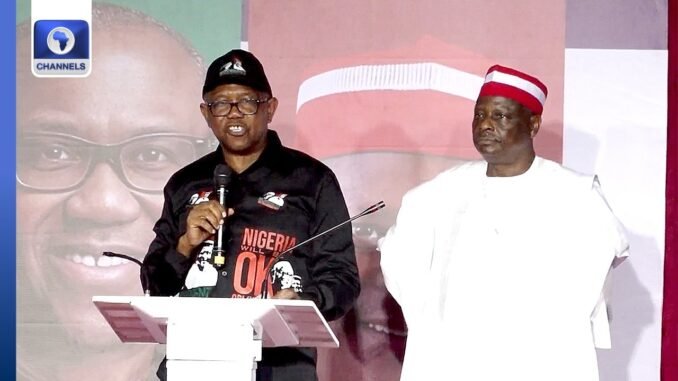 Kwankwaso will be my active partner- Obi