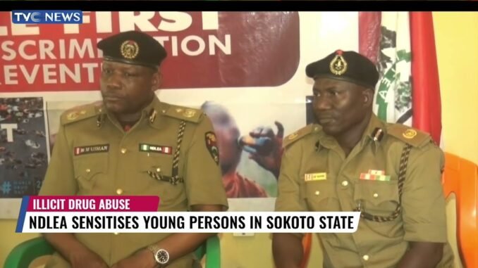 Drug Abuse Fuels 80% of Sokoto Insecurity