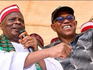 NDC Spares Peter Obi and Kwankwaso