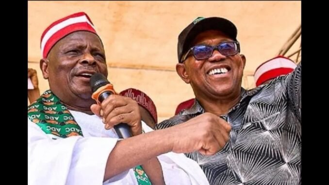 NDC Spares Peter Obi and Kwankwaso