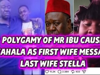 Mr. Ibu's Family Saga Exposes the Hidden Costs