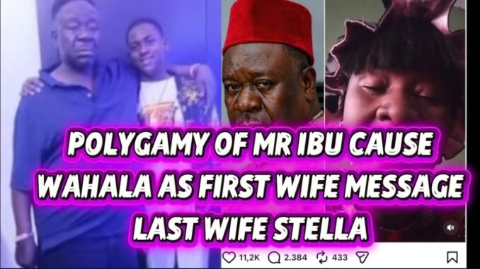 Mr. Ibu's Family Saga Exposes the Hidden Costs