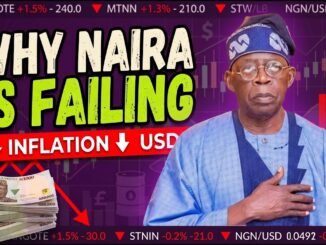 Naira's Continued Decline Sparks Calls