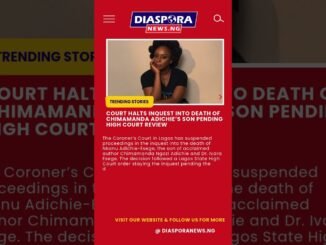 Court halts inquest into Adichie’s sons'death