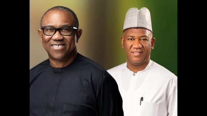 'I Ran with Obi Out of Sympathy' — Datti Baba