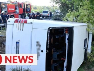 Bus Crash Kills Driver, Injures 23