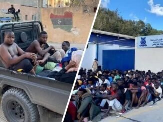Illegal Migrant Arrested After Machete Attack