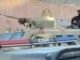 Illegal Migrant Arrested After Machete Attack